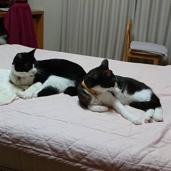 C873d7d4 dd1e 47b0 a0a8 da188ab2c310 1602288889725