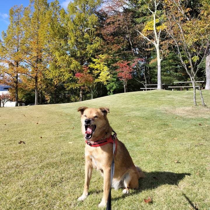 C8740586 fc6a 4c2f ae70 279a516cf7c8 1731067123805