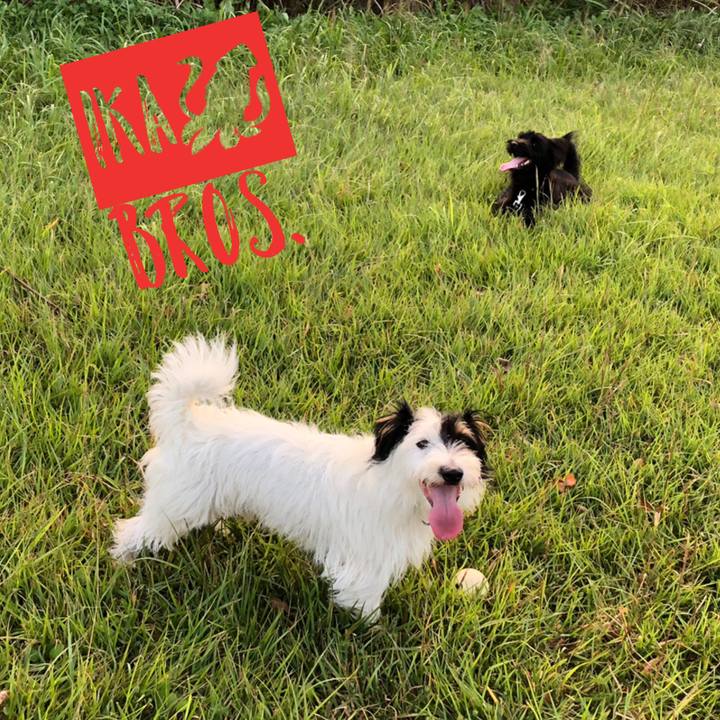 C8741547 2f74 499f b4ce 3daeb0e70239 1540158187067