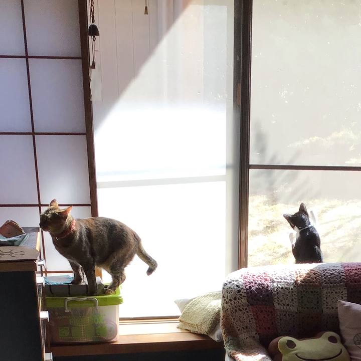 C8742564 d2fa 4bcf 8953 15b671f538d0 1632735316618