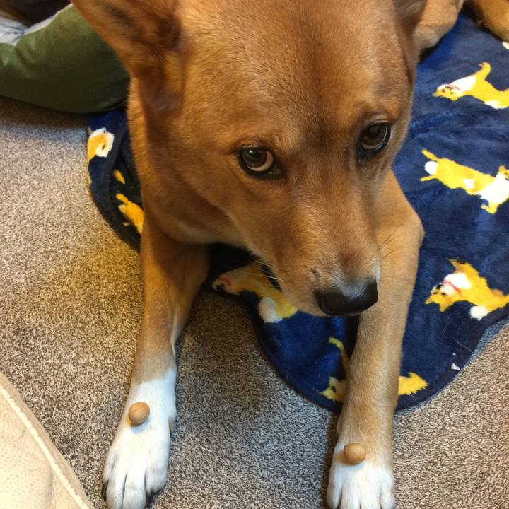 C87432d6 9a48 43b7 97a9 b8b20e4cd9fe 1517957482999