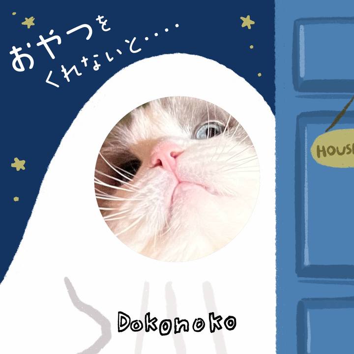 C874341b 54ca 42eb a8dd 569217d321ab 1729082234211