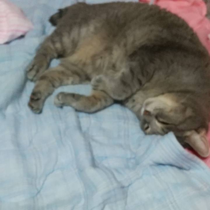 C8743c92 fa09 43a0 a4ec c60a12094352 1600526436694