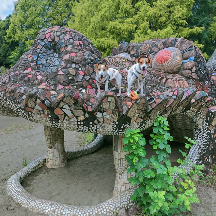 C874525d d46e 4bb0 91bf 0fdda3c10be1 1761554611005