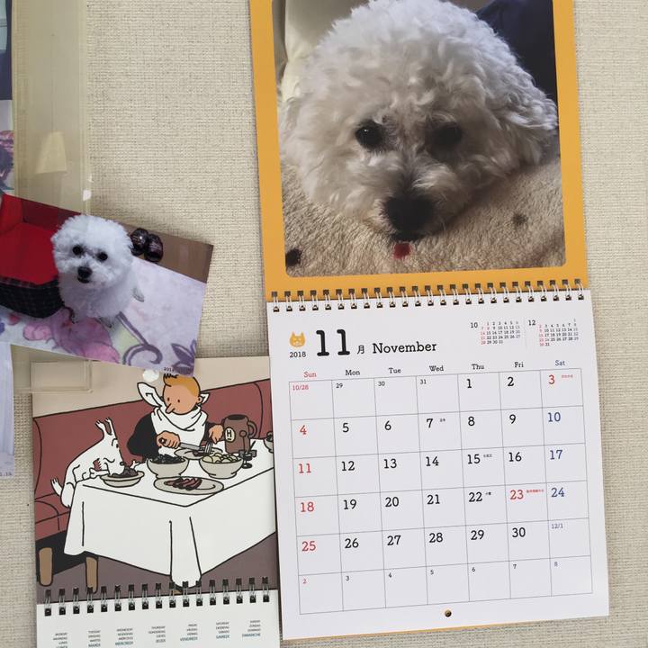 C8749f2d 3836 452b a7ee 95fb8e63a110 1542760038850