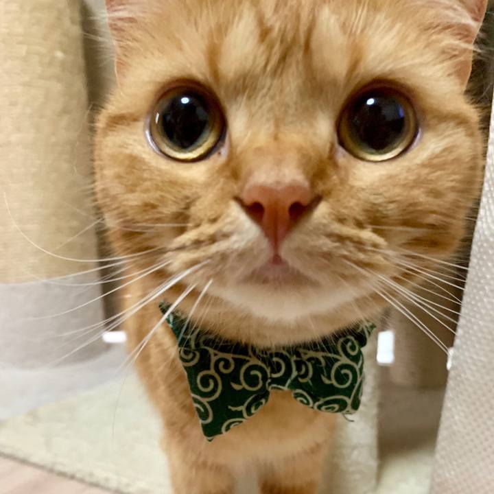 C874aac0 c006 4e53 9038 c753467cd097 1566703403386