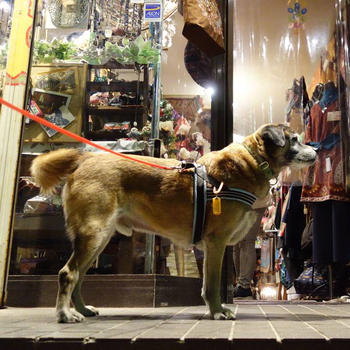 C874b091 3372 471a 8fb5 307d38a9168e 1623286901764