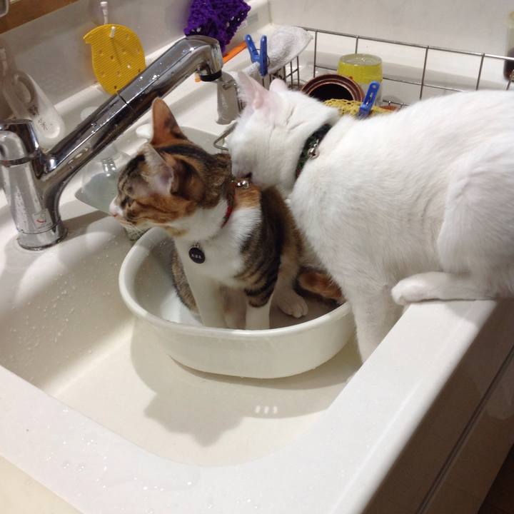 C874ce2c 6738 4ad0 87f4 5b9616b350ca 1639346449968