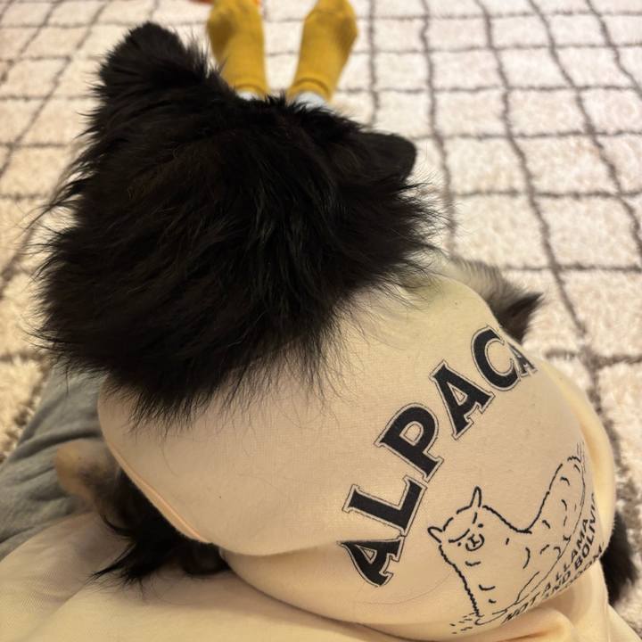 C874f294 c14e 4aa6 9991 4fba15e43b3f 1737302633287