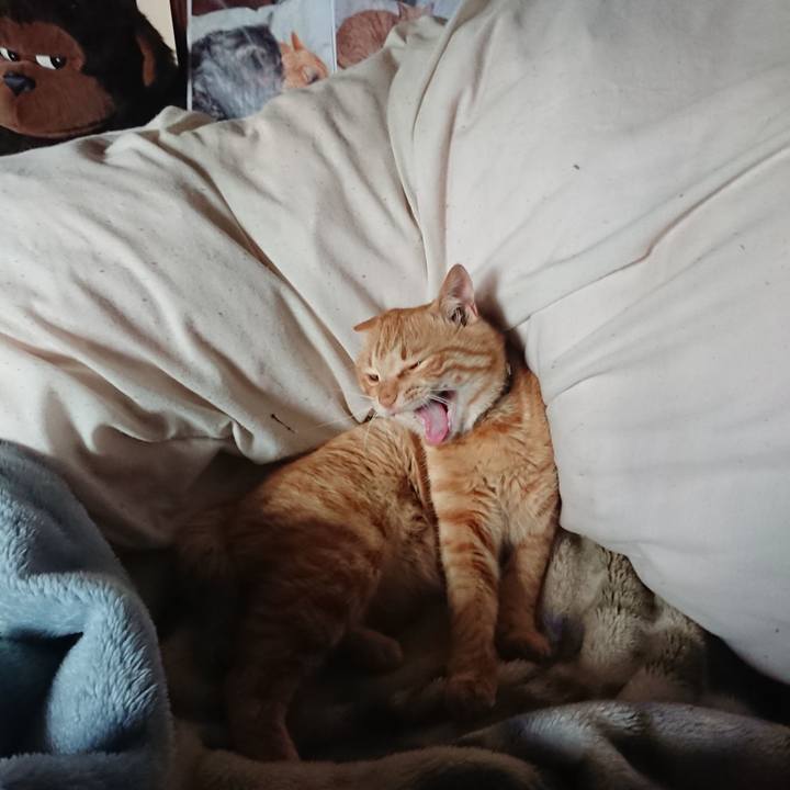 C8750c1d 0d3a 44e3 a979 b504ae8da6eb 1650524237677