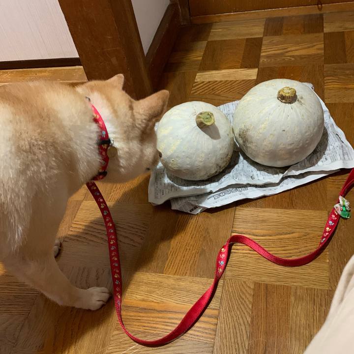 C875127e 103b 4adb 8217 4d067b79c96b 1629886198185