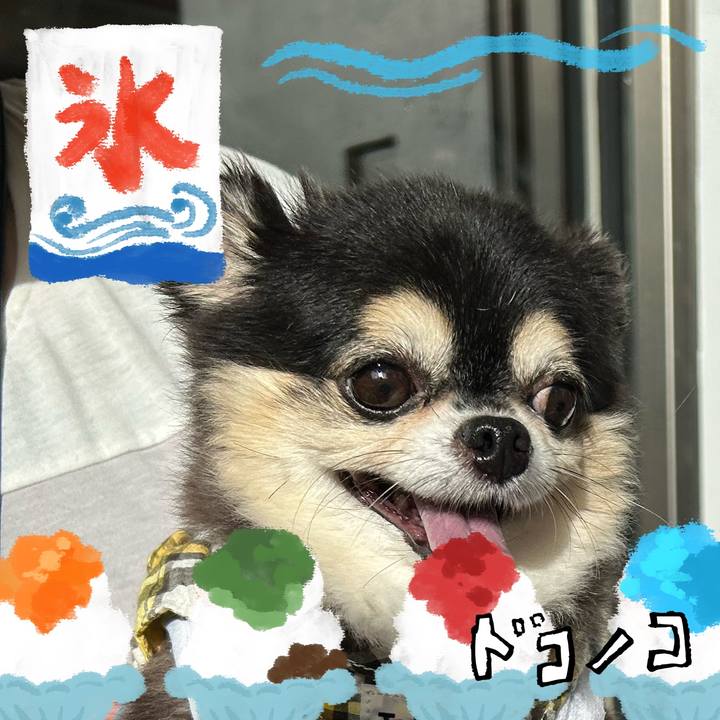 C8752238 2cf2 4f67 b05b c79d82ae6b02 1723218840719