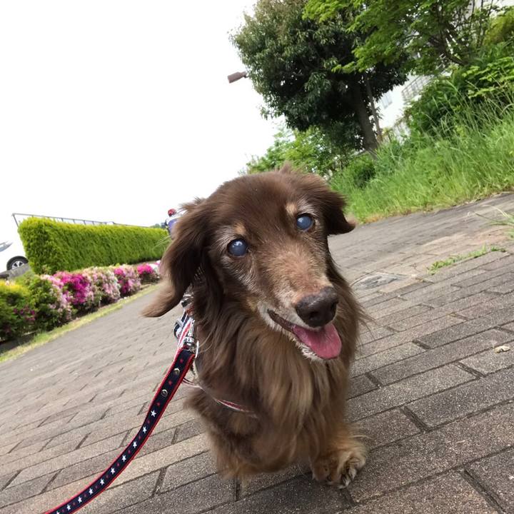 C875666c 69f8 4fd5 9fbc 2f832b0d37fe 1557631417209