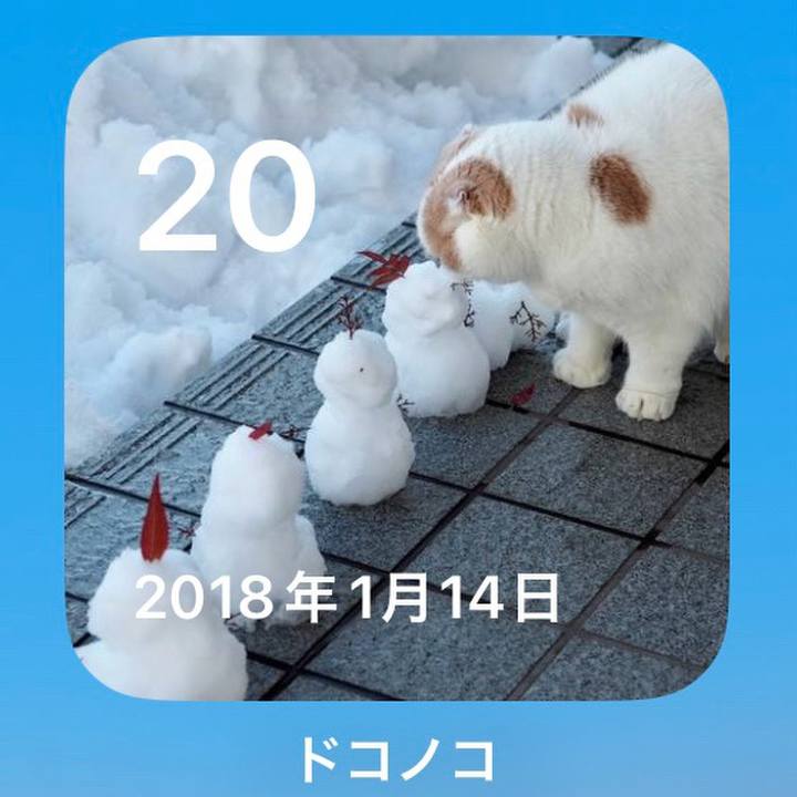 C8757245 16f7 4f51 a0c4 252bbd7c4868 1768873348503