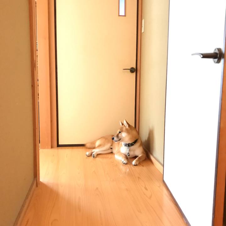 C875b723 84e1 4e91 a44c e65a7c152ebd 1529638450100