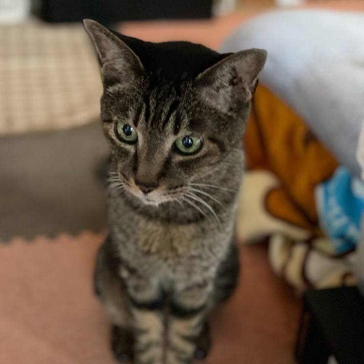 C875cd46 1776 4a65 9e2e f26c579f9ee4 1629160342801