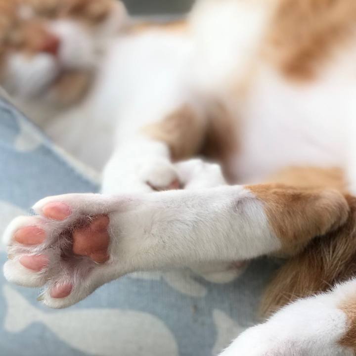 C875e877 23d4 48b5 8491 f3eb3a9a6ada 1554077738617