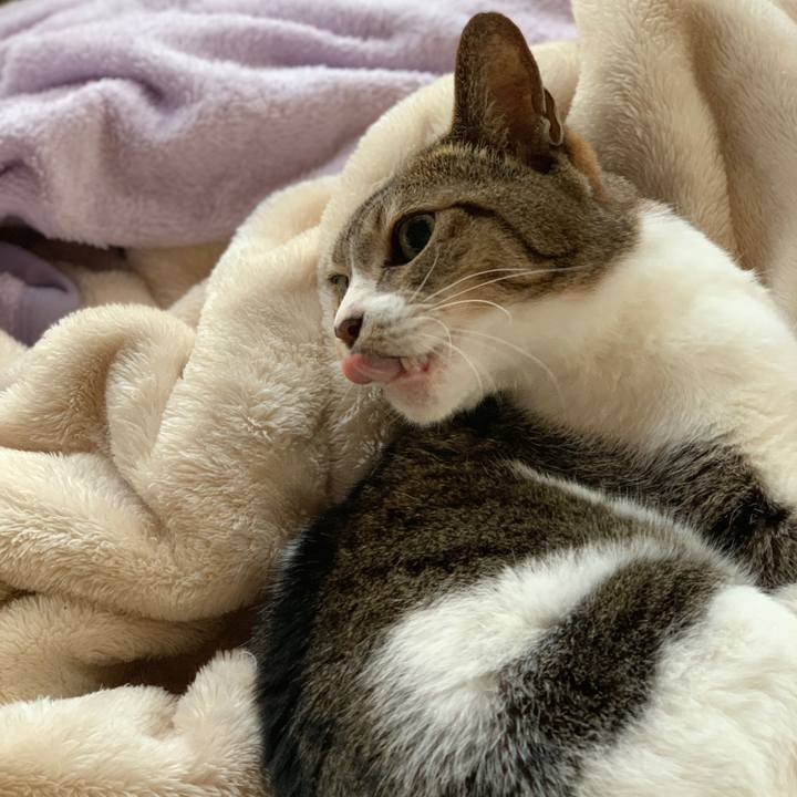 C875f746 979a 4fcc 8c18 22c9646c9d9f 1572832085374