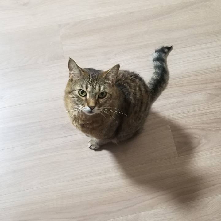 C8760721 22e3 452a 9e00 2e5848a24b08 1617658408403