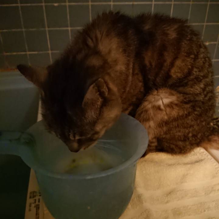 C8762530 856f 45e2 adb7 e0c066b40e35 1567246324568