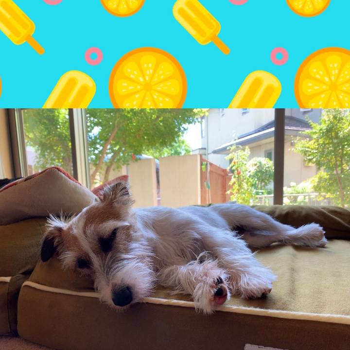 C876715a b848 4bf7 aa1d 0cb5ce708409 1596346736947