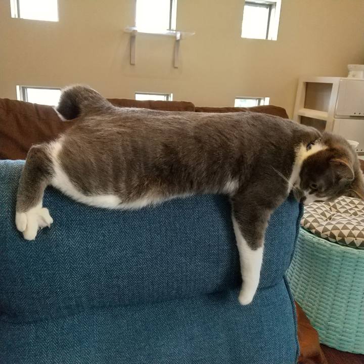 C876b71f ae97 41bd 9489 d2c526889be4 1615534147506