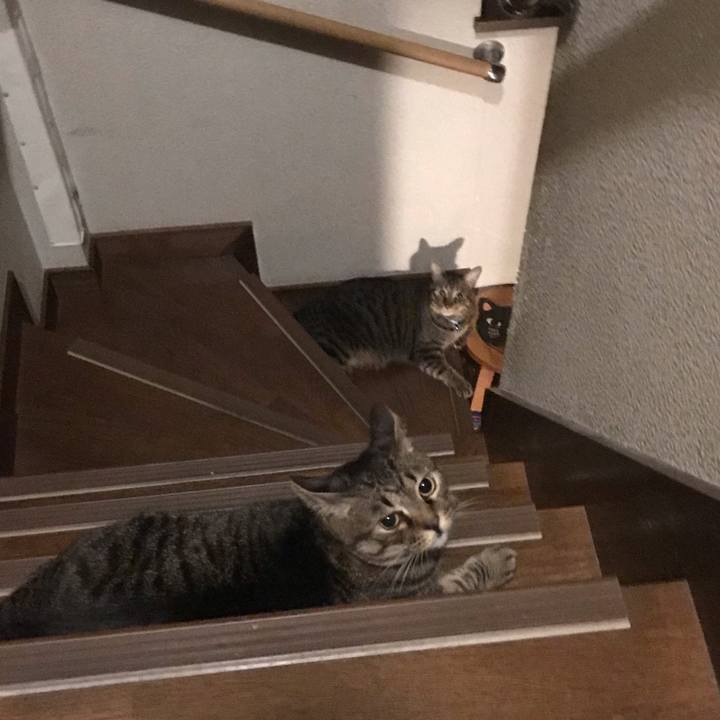 C87719f6 014d 4111 bb89 3b4bbddf9014 1541424661005