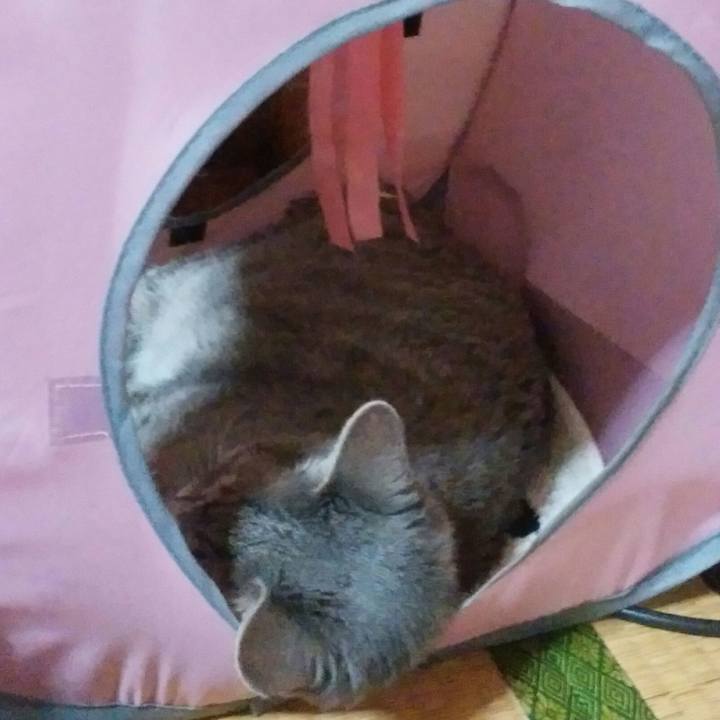 C877df25 918c 4426 98cb 9c0f6ccfa7ba 1562411018830