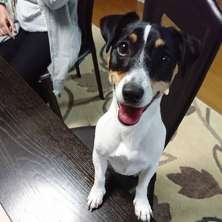 C877f8e1 7d6c 49d2 9d21 20afada1ba10 1543146932682