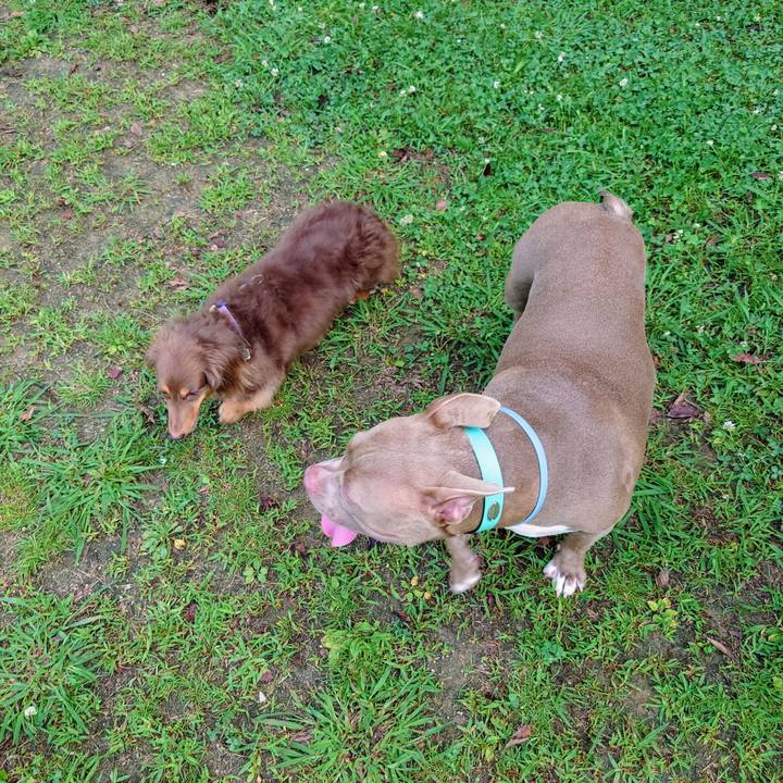 C8784c65 adb5 419f b626 6a46212775f8 1720313266501