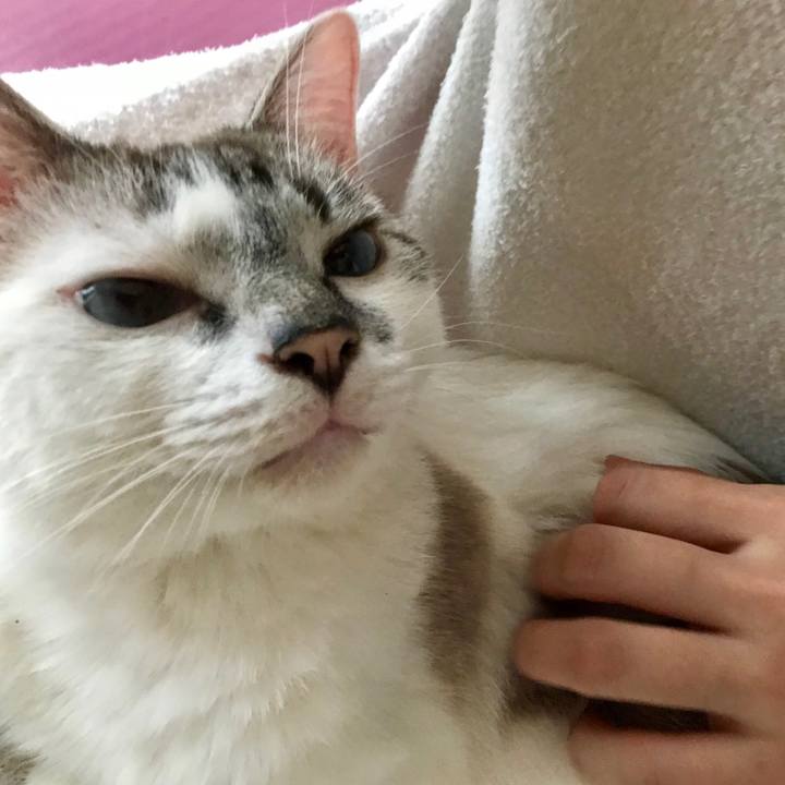 C8785c12 133c 4820 8241 302c37928674 1532140905704