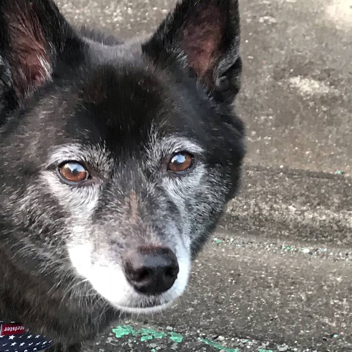 C8786c24 03ec 4d60 8bac a4f620d647f8 1538390564905