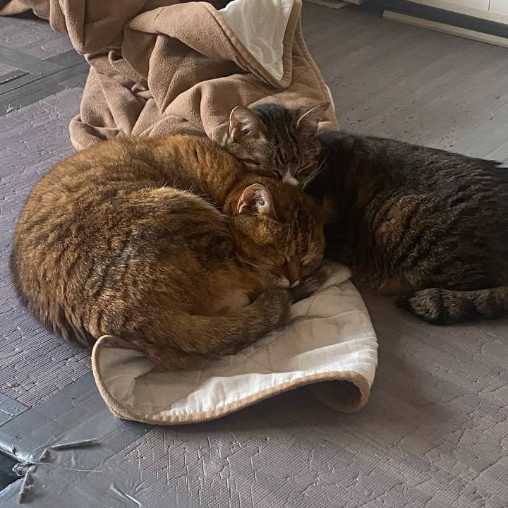 C8787677 d423 4da9 ba8d c3ed85619cea 1683150434172