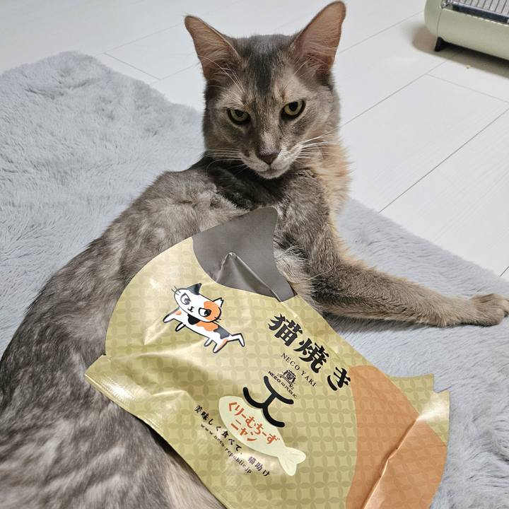 C87893c1 9532 450a 8a66 5e0e97df9d71 1743254704097