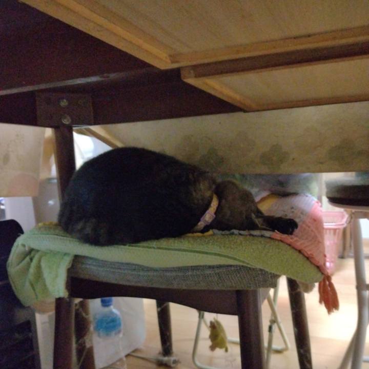 C878d3cb 67de 4864 891c 5d67e35f4b7a 1761350672305