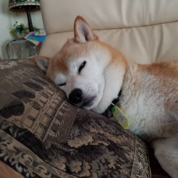 C878f944 4585 4c67 b0ea 7f73d1b37e6b 1657750421298