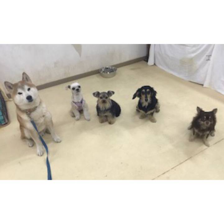 C878ffd7 5d76 496f b35f 58e8dd2cf893 1555724333225