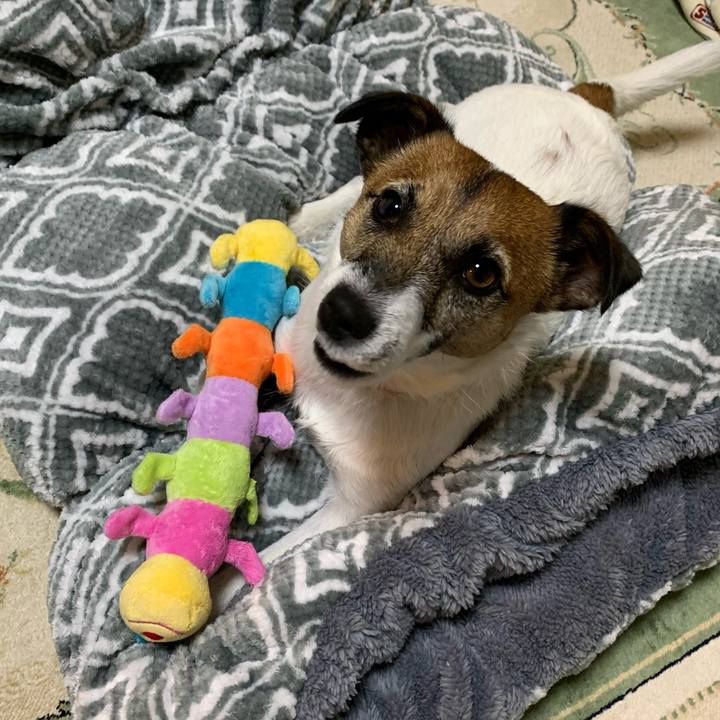 C8791b8c b893 4500 a89a 16b06a7d7778 1575201894396