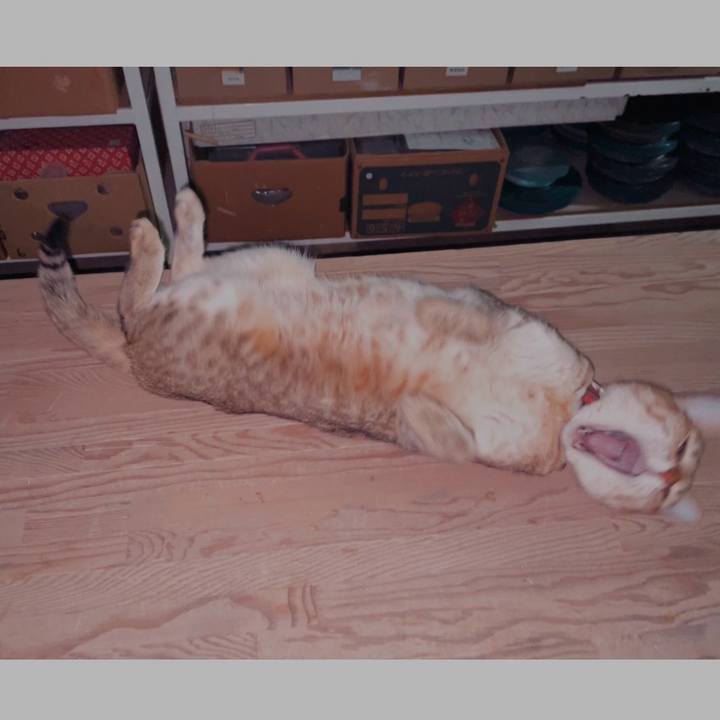 C8792bfd 91f6 4a6b 9321 8b69357fc03c 1706786656489