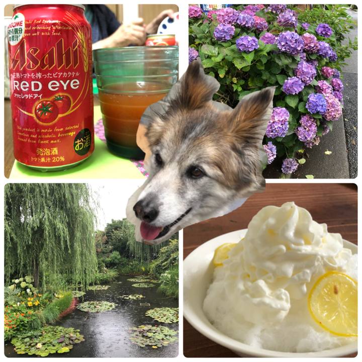 C8792e78 bcaf 4bdc 8bd6 3fcdab45bb56 1565008290583