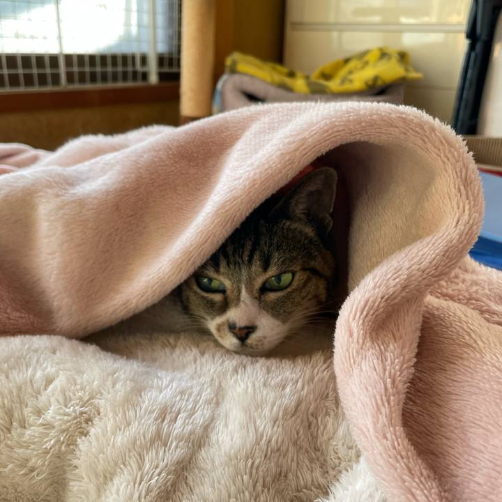 C87940fe b2af 4fe3 a606 8d64bf4ca650 1638752645463