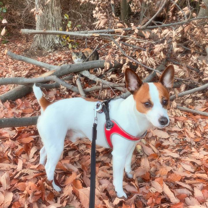 C8797be2 0c0a 4e24 be89 fccb8b40c096 1550657674018