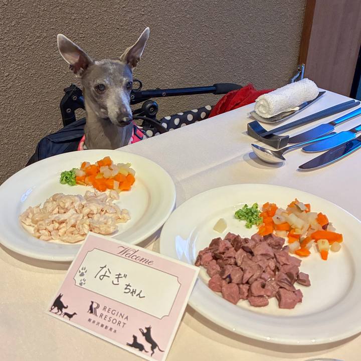 C879d845 cca6 4fe1 a8ed ce9deff06800 1776762297795