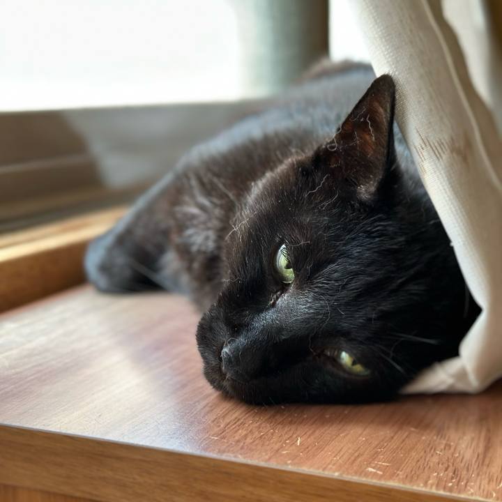 C879eceb ef91 4fa0 b78f ebc0d226bdb3 1686965643420