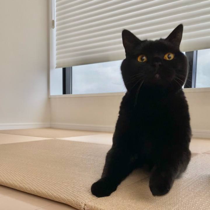 C879fb5c 5c83 405d 96ba 7c476a4b6de3 1648629669648