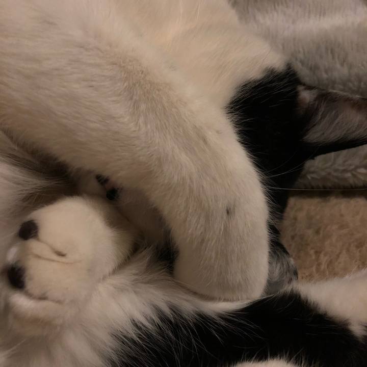 C87a4342 e753 42b3 87ff 0b52fba3f244 1551803323383