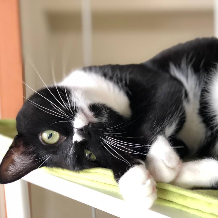 C87a4d0d cf3a 4acd 9dbc 16dc46a56e89 1572924483541