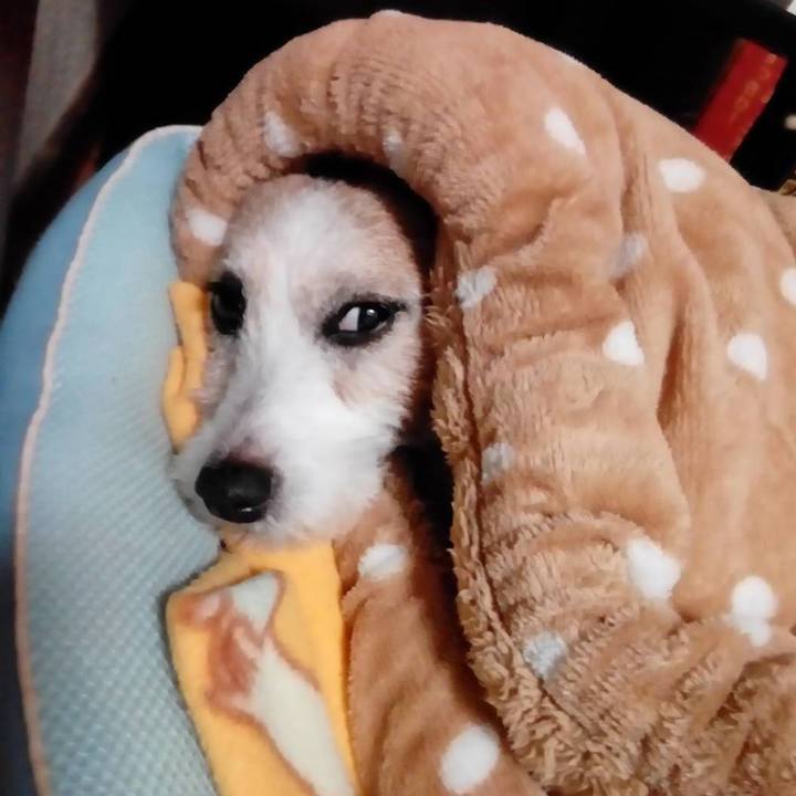 C87a7f4d 4134 4450 8894 4be1ab5ee617 1572262362733