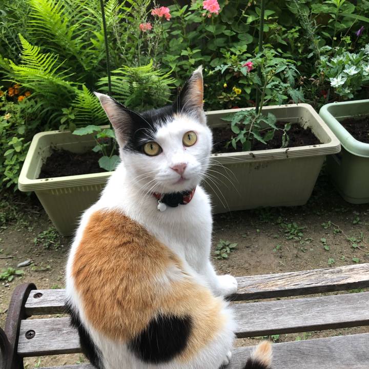 C87a8912 d40a 4dc2 8d80 80bf5c989089 1621030409168