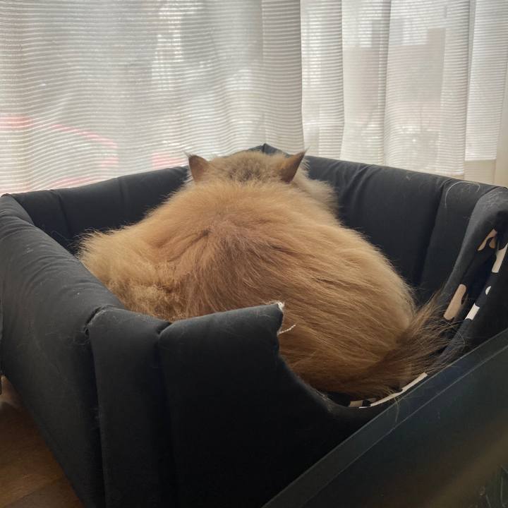 C87ad0ca 5544 4d6f 94b0 736292a8fc38 1580255226454